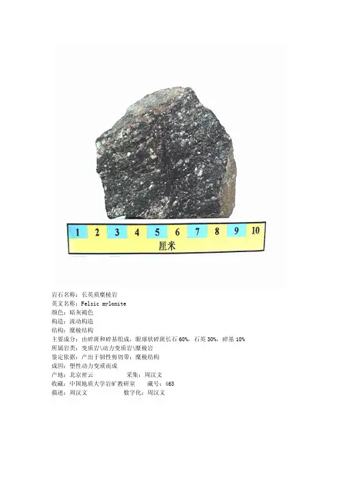 常见岩石标本(地大)2