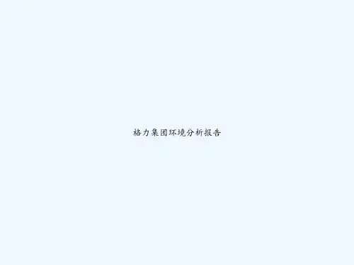 格力集团环境分析报告 PPT