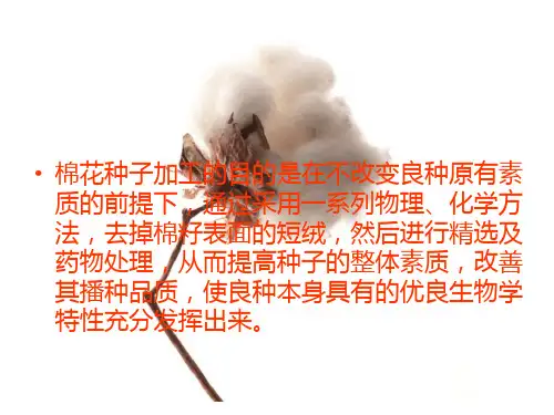 棉花种子加工方法