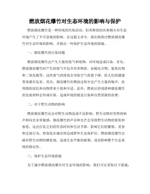 燃放烟花爆竹对生态环境的影响与保护
