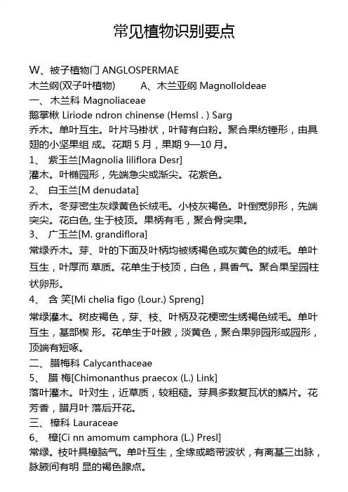 常见植物识别要点
