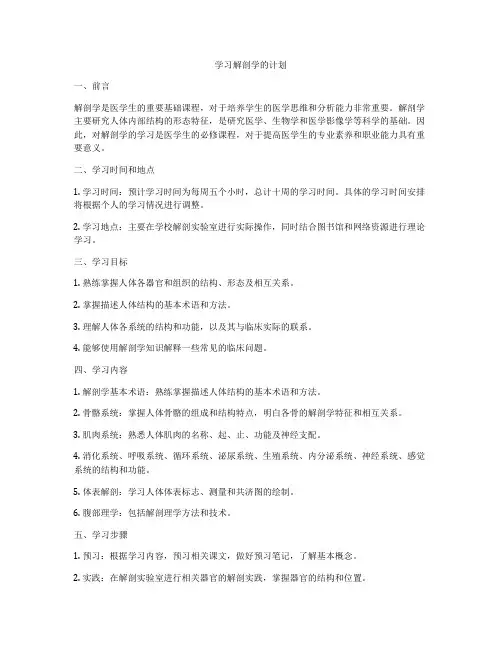 学习解剖学的计划