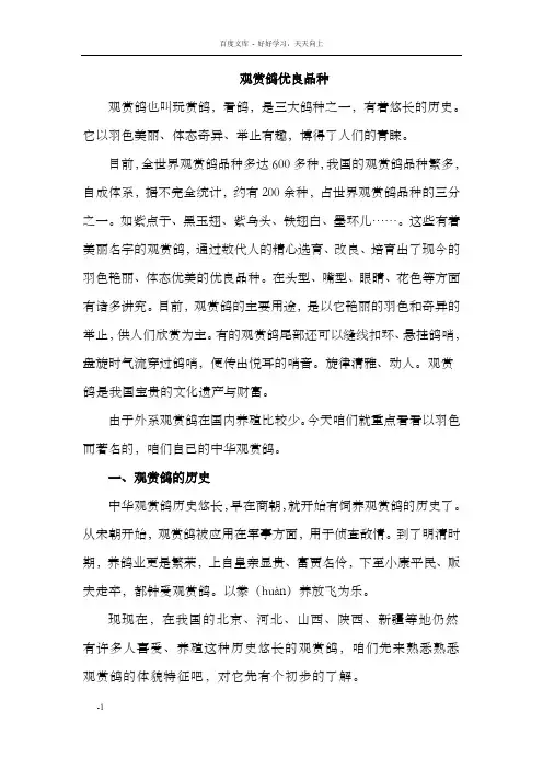 观赏鸽优良品种