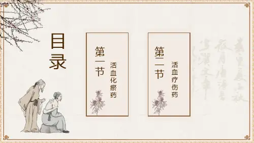 中医养生药材活血化瘀药PPT模板