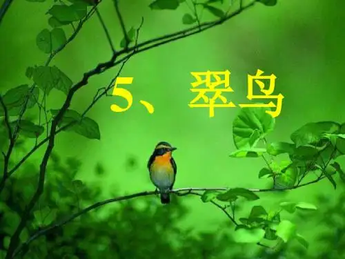 小学语文三年级下册《翠鸟》课件