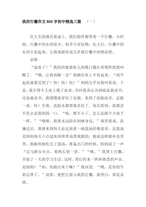 我的行囊作文600字初中精选三篇