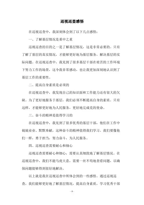 巡视巡查感悟