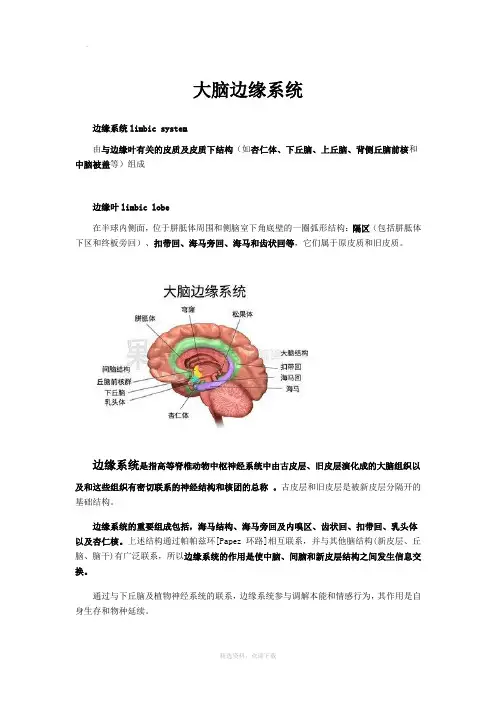 大脑边缘系统
