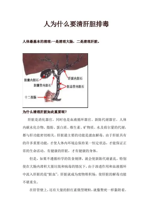 人为什么要清肝胆排毒