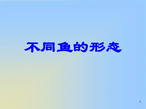 不同鱼的形态小学一年级美术下册PPT课件
