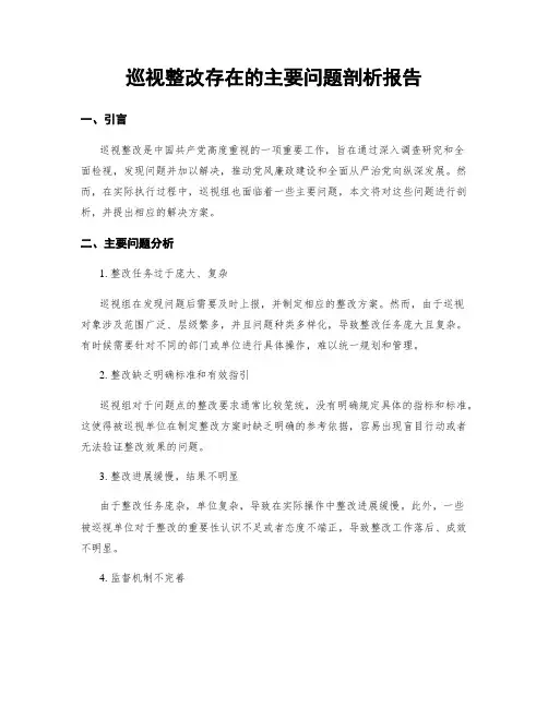 巡视整改存在的主要问题剖析报告