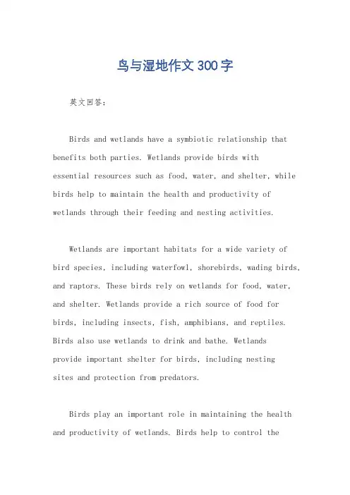 鸟与湿地作文300字
