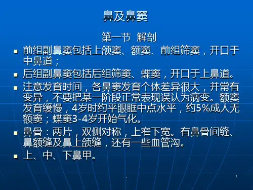 鼻及鼻窦影像学检查PPT课件