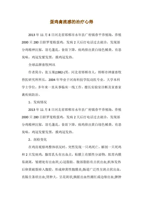 蛋鸡禽流感的治疗心得