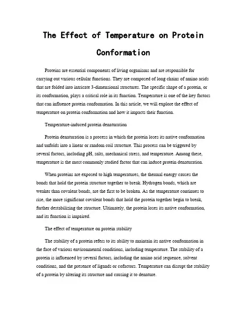 The Effect of Temperature on Protein Conformation