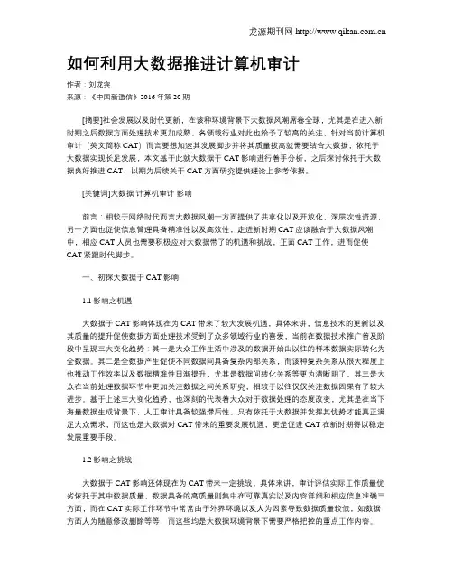 如何利用大数据推进计算机审计