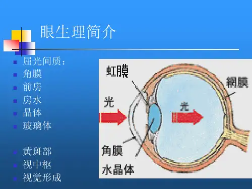 医学验光配镜常规