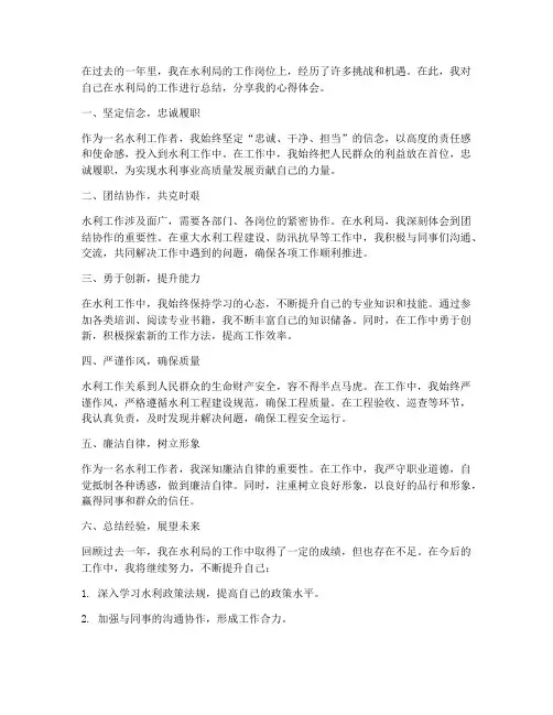 水利局工作总结个人心得