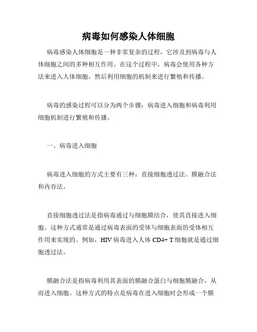 病毒如何感染人体细胞