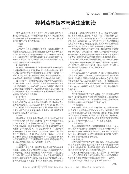 桦树造林技术与病虫害防治