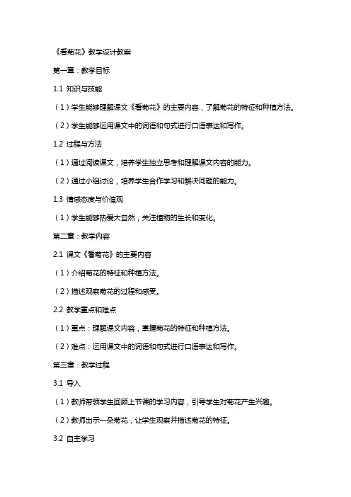 《看菊花》教学设计教案