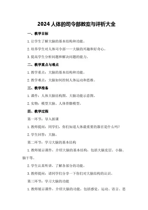 2024人体的司令部教案与评析大全
