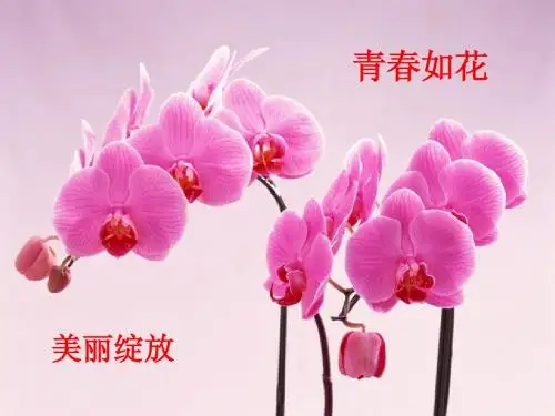 高考前最后一次班会 3