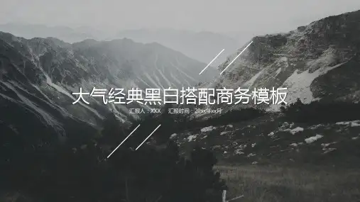 欧美极简大气商务通用模板 (15)