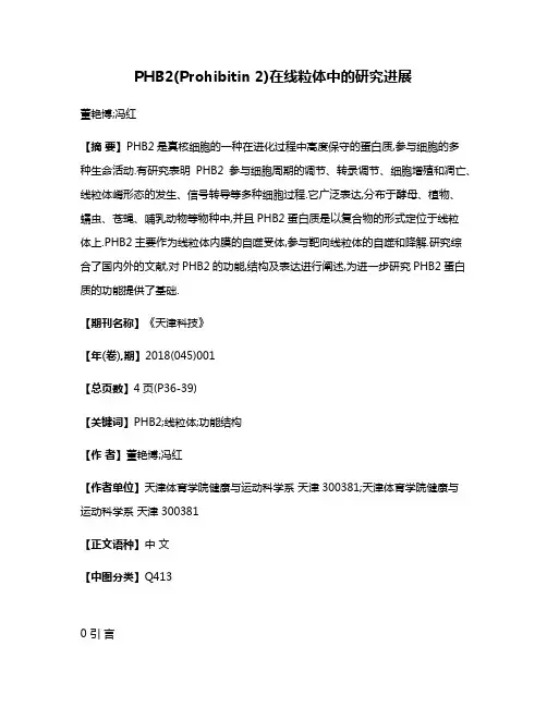 PHB2(Prohibitin 2)在线粒体中的研究进展