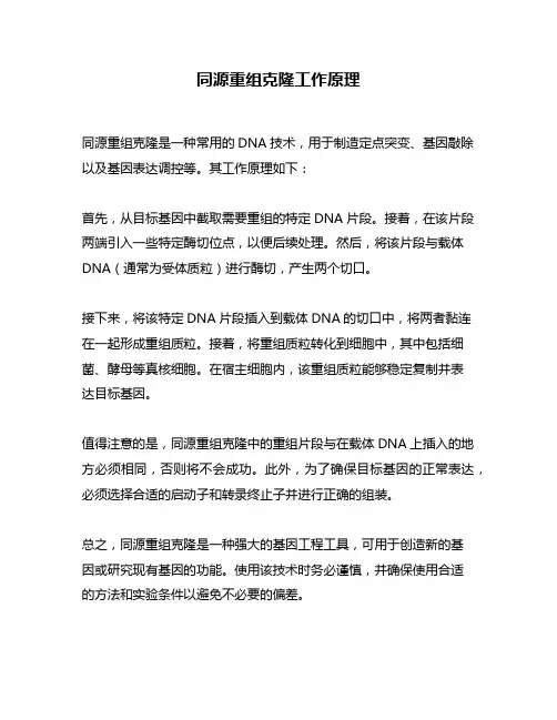 同源重组克隆工作原理