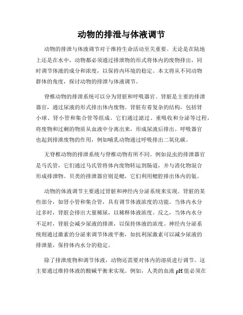 动物的排泄与体液调节