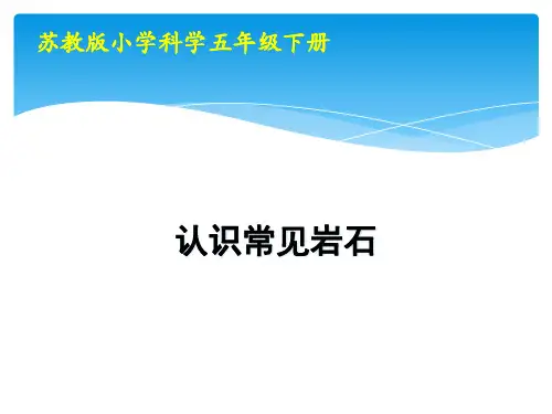 《认识常见岩石》PPT精品课件苏教版科学1