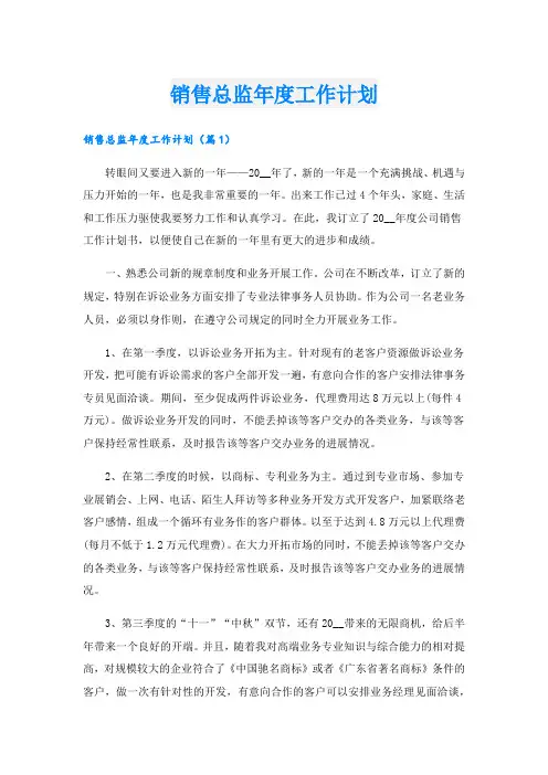 销售总监年度工作计划(1).doc