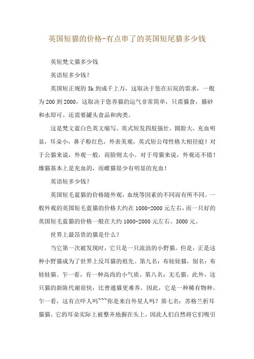 英国短猫的价格-有点串了的英国短尾猫多少钱