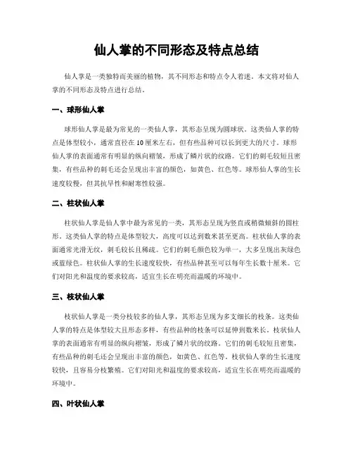 仙人掌的不同形态及特点总结