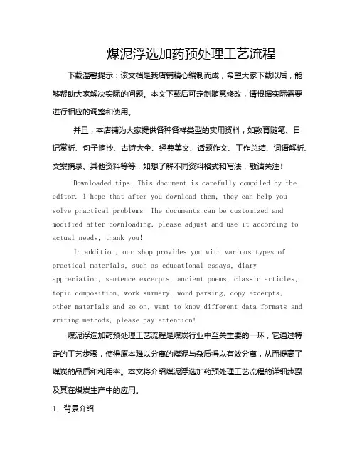 煤泥浮选加药预处理工艺流程