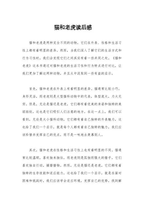 猫和老虎读后感