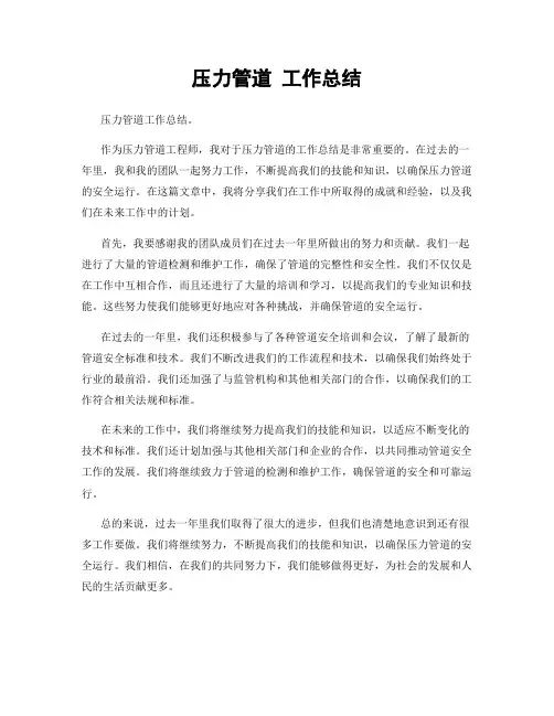 压力管道 工作总结