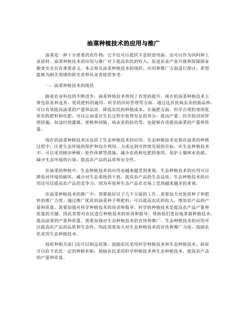 油菜种植技术的应用与推广