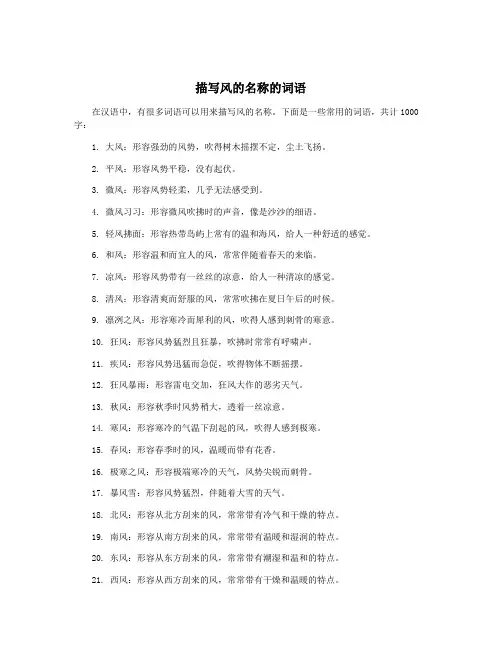 描写风的名称的词语