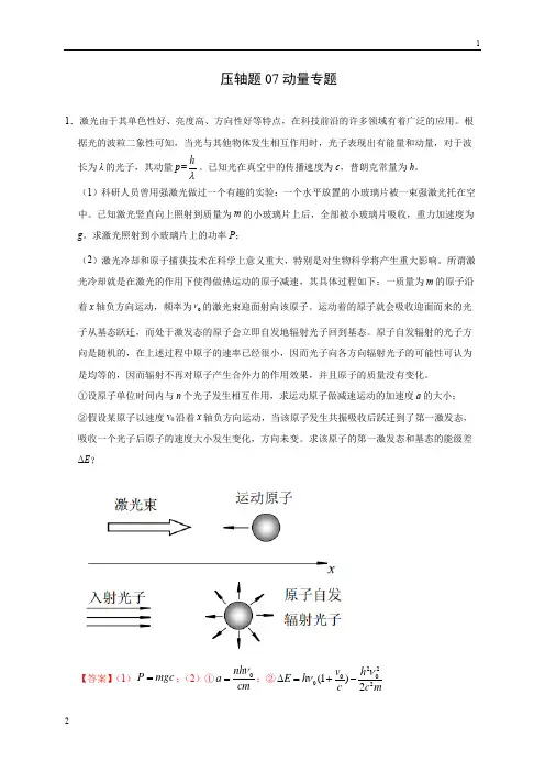 压轴题07 动量专题(解析版)-2020年高考物理挑战压轴题(尖子生专用)