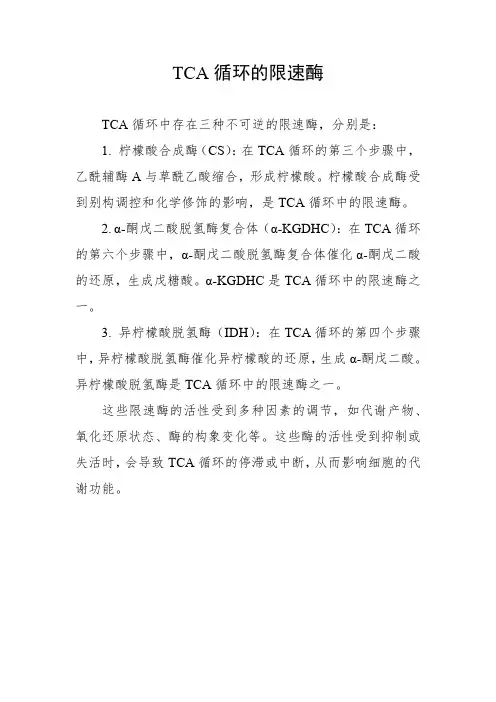 tca循环的限速酶