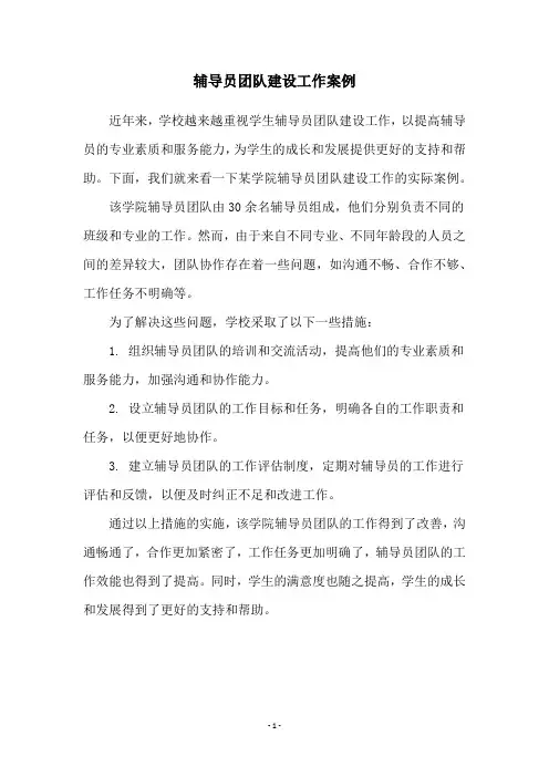 辅导员团队建设工作案例