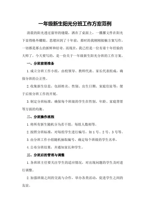 一年级新生阳光分班工作方案范例