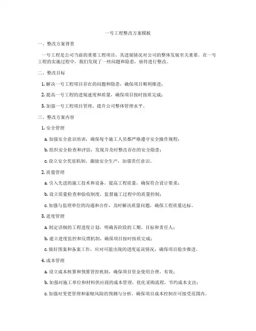 一号工程整改方案模板