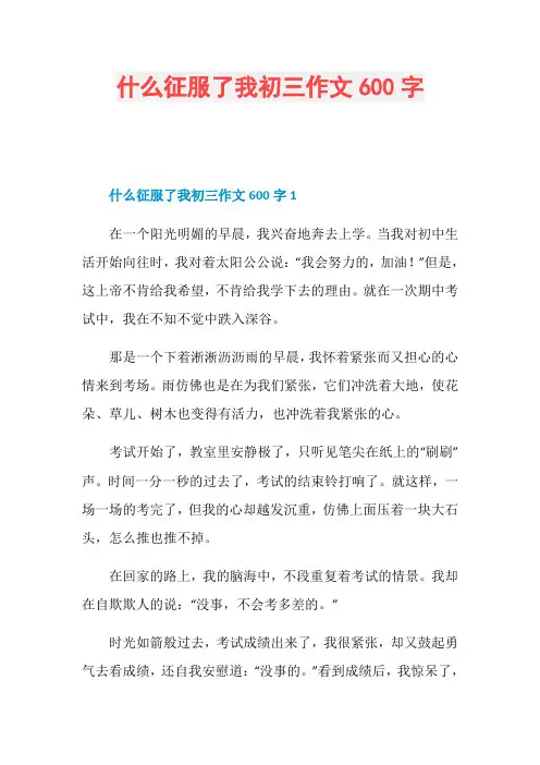 什么征服了我初三作文600字