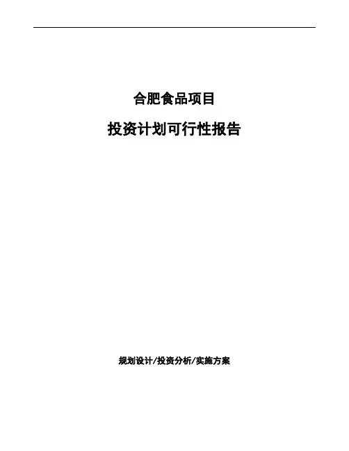 合肥食品项目投资计划可行性报告