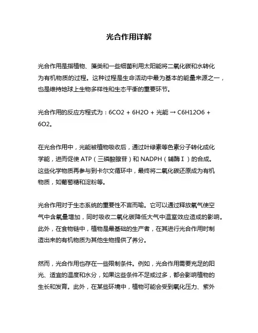 光合作用详解