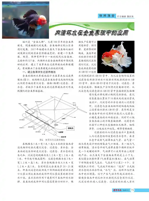 内循环水在金鱼养殖中的应用