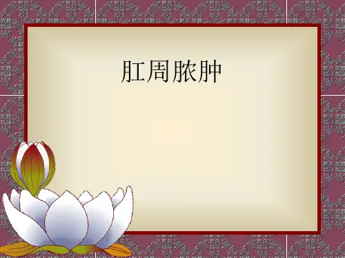 肛周脓肿的护理